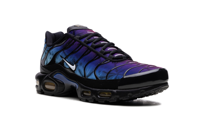 Air Max Plus "25th Anniversary" FV0393 001