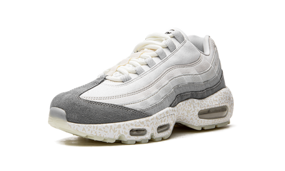 Air Max 95 QS "Light Bone-Glow in the Dark" DV2593 100