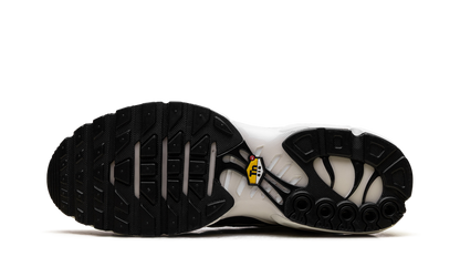 Air Max Plus "Panda" FV6264 001