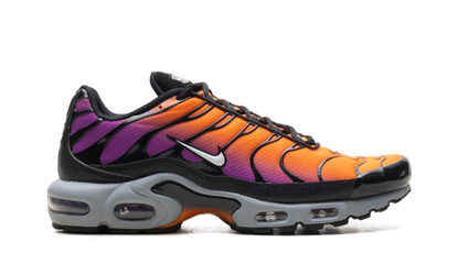 Air Max Plus "Desert Sunset" DM0032 014