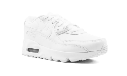 Air Max 90 CD6867 100