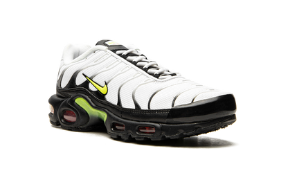 Air Max Plus "Retro Future" AJ2013 100