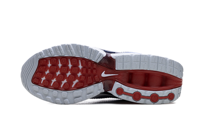 Air Max Dn "Team USA" FV2250 100