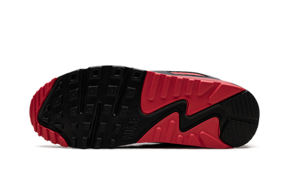 Air Max 90 "Smoke Grey Fire Red" DM0029 007