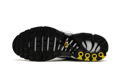 Air Max Plus "Black / White" CT1094 102