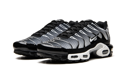 Air Max Plus "Black / Silver" DM0032 003