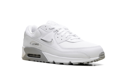 Air Max 90 "Jewel Light Smoke Grey" FN8005 100