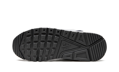 Air Max Correlate "Pure Platinum" 511416 010