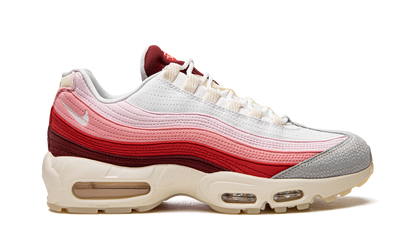 Air Max 95 QS "Anatomy of Air" DM0012 600