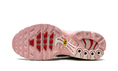 AIR MAX PLUS MNS WMNS "Animal Instinct" DZ4842 600